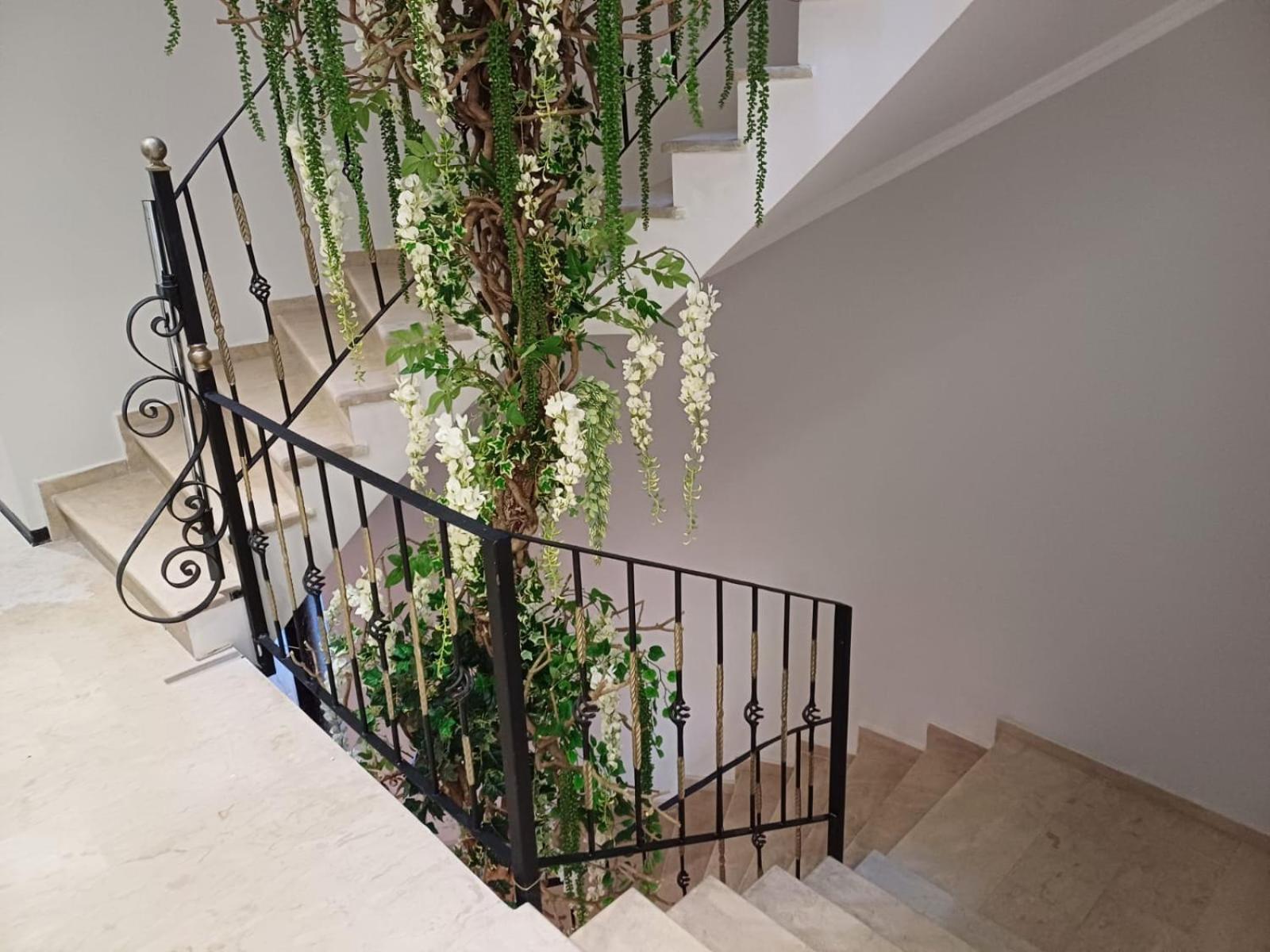 Oxygen Boutique Hotel Тирана Екстериор снимка